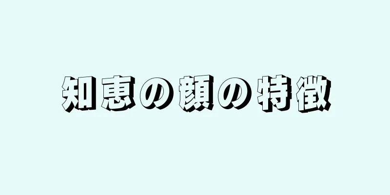 知恵の顔の特徴