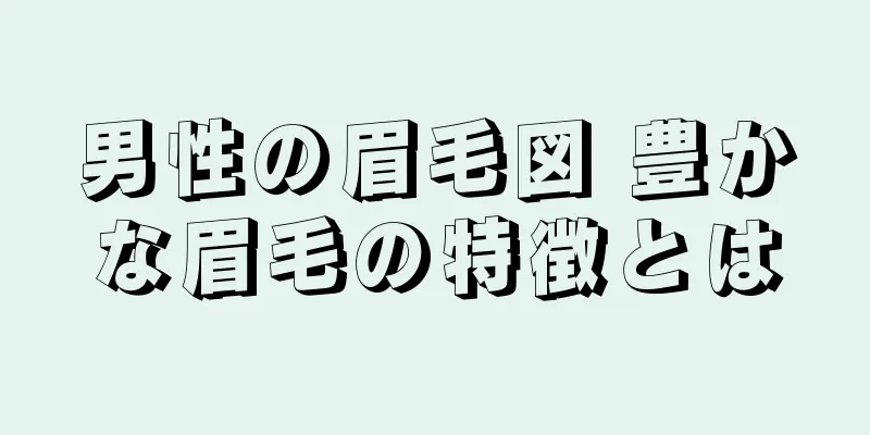 男性の眉毛図 豊かな眉毛の特徴とは