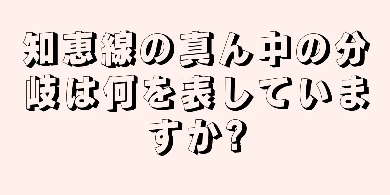 知恵線の真ん中の分岐は何を表していますか?