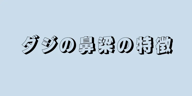 ダジの鼻梁の特徴