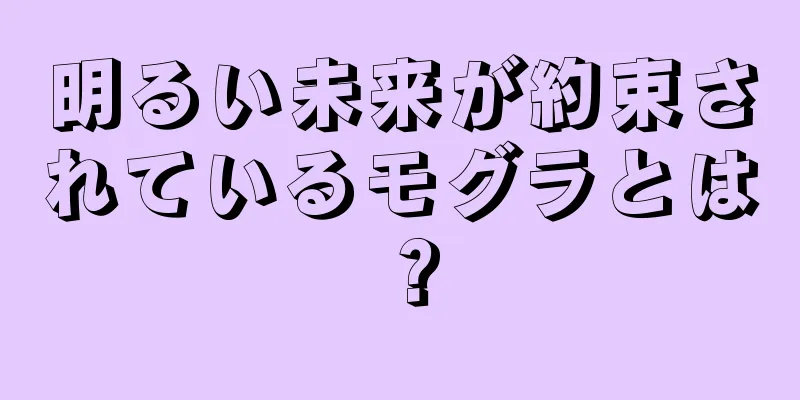 明るい未来が約束されているモグラとは？