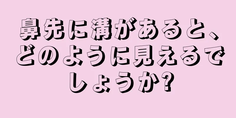 鼻先に溝があると、どのように見えるでしょうか?