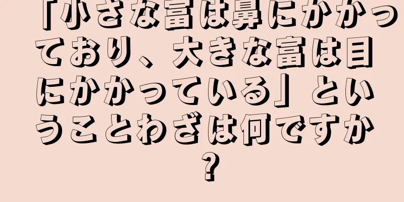 「小さな富は鼻にかかっており、大きな富は目にかかっている」ということわざは何ですか？