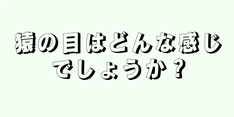 猿の目はどんな感じでしょうか？