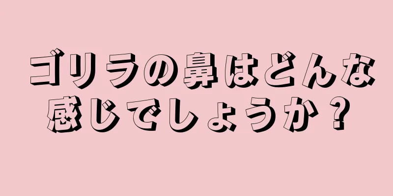 ゴリラの鼻はどんな感じでしょうか？