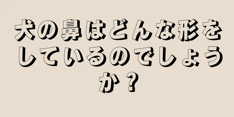 犬の鼻はどんな形をしているのでしょうか？