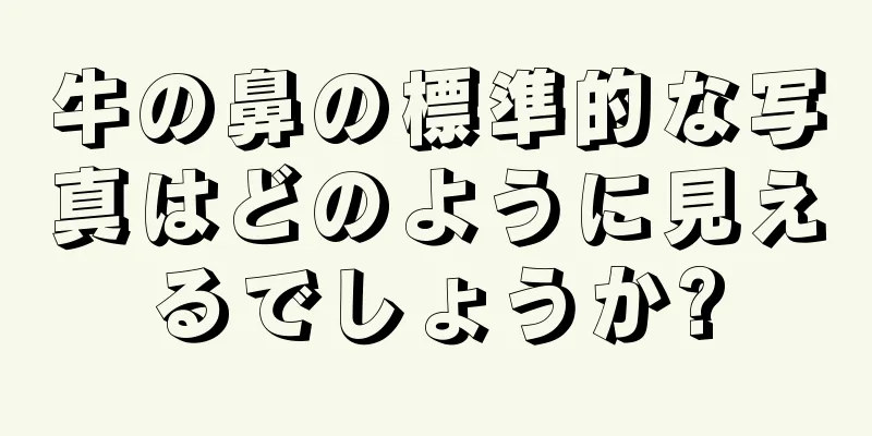 牛の鼻の標準的な写真はどのように見えるでしょうか?