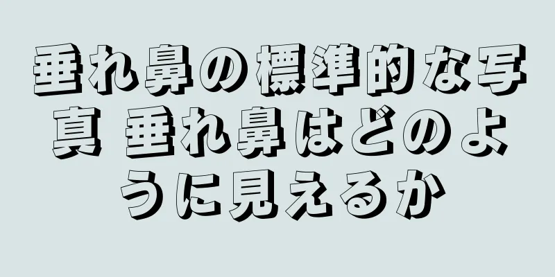 垂れ鼻の標準的な写真 垂れ鼻はどのように見えるか