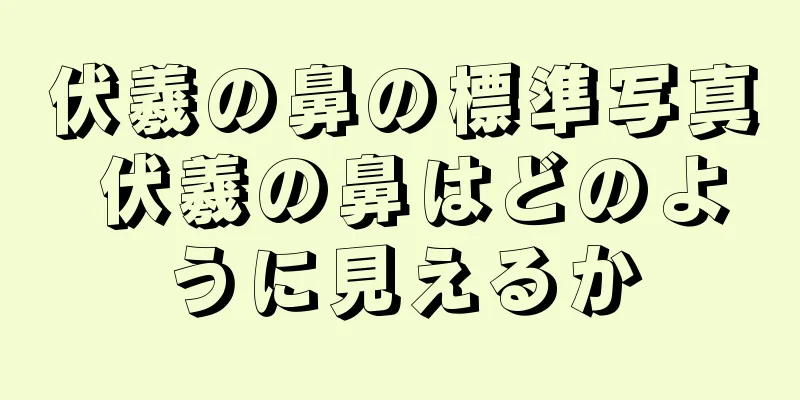 伏羲の鼻の標準写真 伏羲の鼻はどのように見えるか