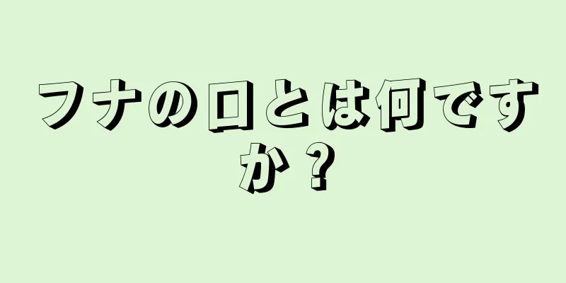 フナの口とは何ですか？