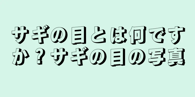 サギの目とは何ですか？サギの目の写真