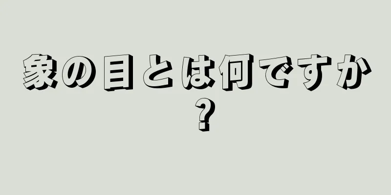 象の目とは何ですか？