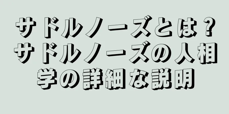 サドルノーズとは？サドルノーズの人相学の詳細な説明