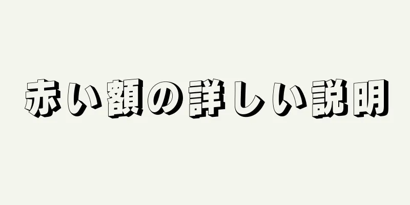 赤い額の詳しい説明