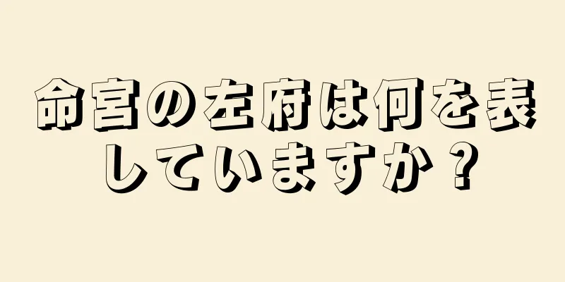 命宮の左府は何を表していますか？