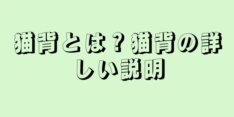 猫背とは？猫背の詳しい説明