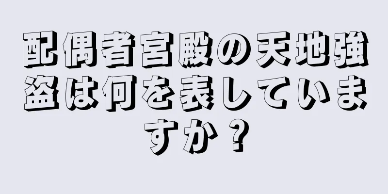 配偶者宮殿の天地強盗は何を表していますか？