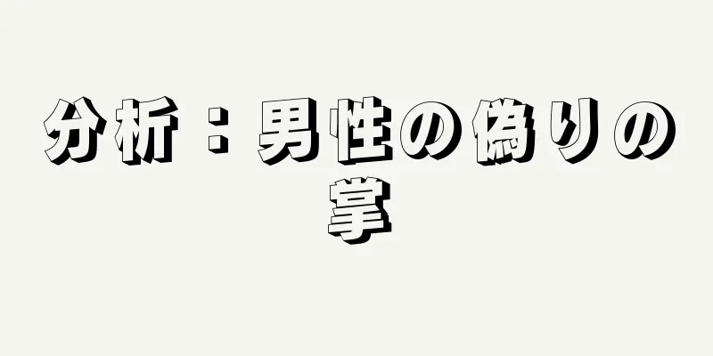 分析：男性の偽りの掌