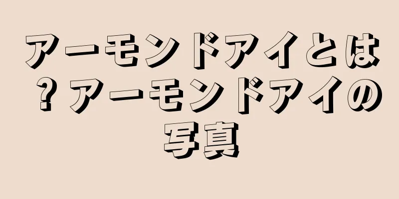 アーモンドアイとは？アーモンドアイの写真