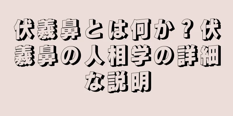 伏羲鼻とは何か？伏羲鼻の人相学の詳細な説明