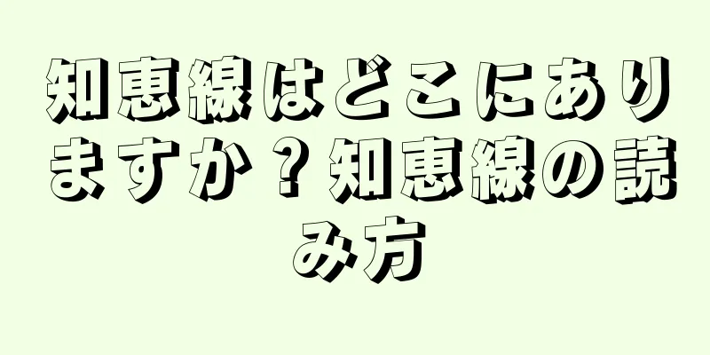 知恵線はどこにありますか？知恵線の読み方