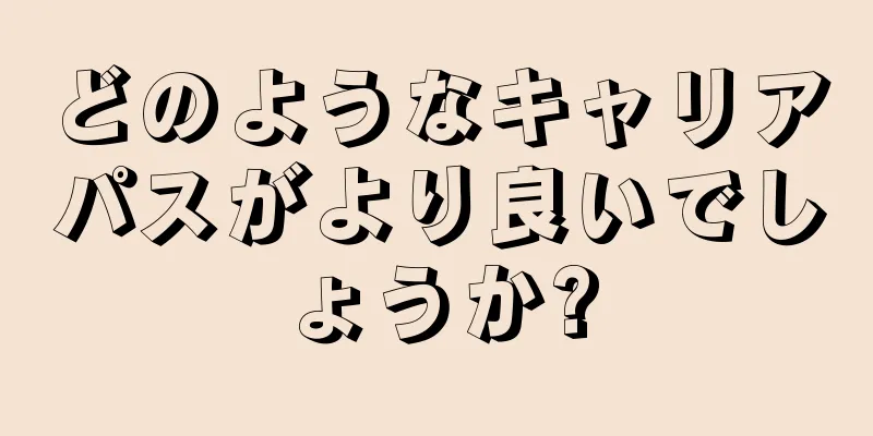 どのようなキャリアパスがより良いでしょうか?