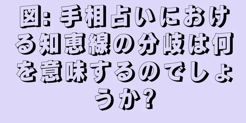 図: 手相占いにおける知恵線の分岐は何を意味するのでしょうか?