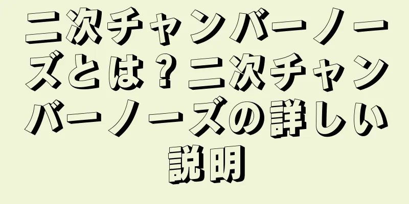 二次チャンバーノーズとは？二次チャンバーノーズの詳しい説明