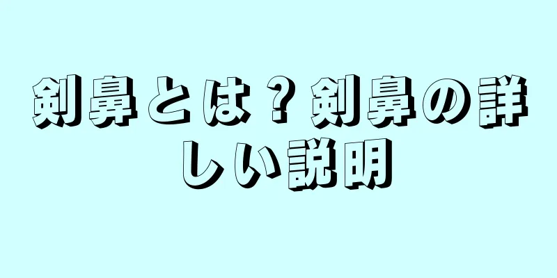 剣鼻とは？剣鼻の詳しい説明