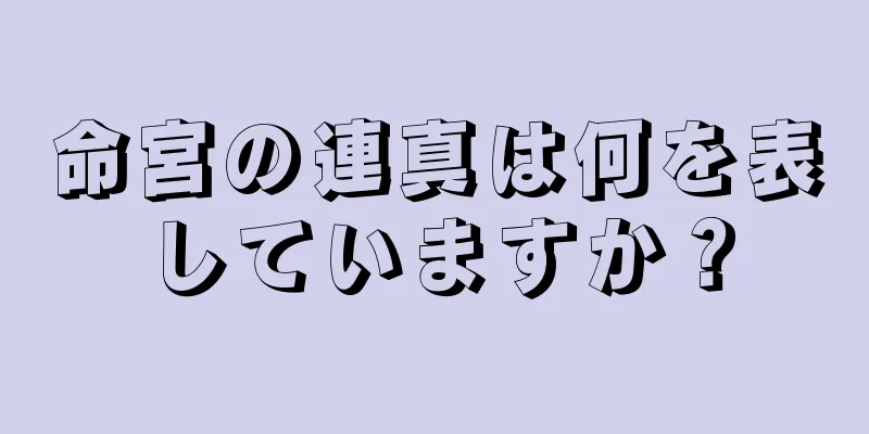 命宮の連真は何を表していますか？