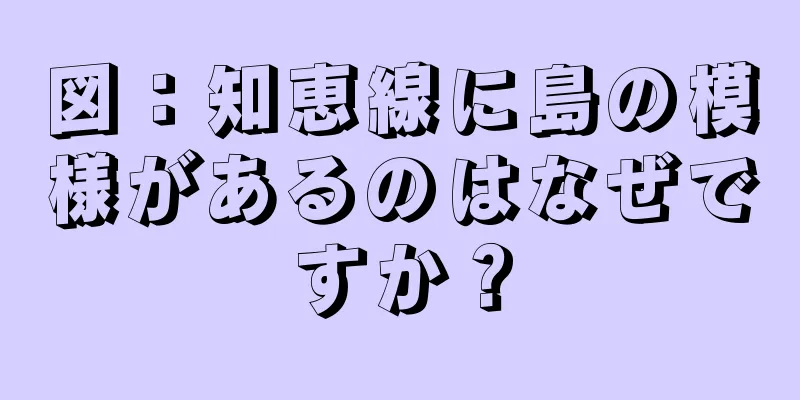 図：知恵線に島の模様があるのはなぜですか？