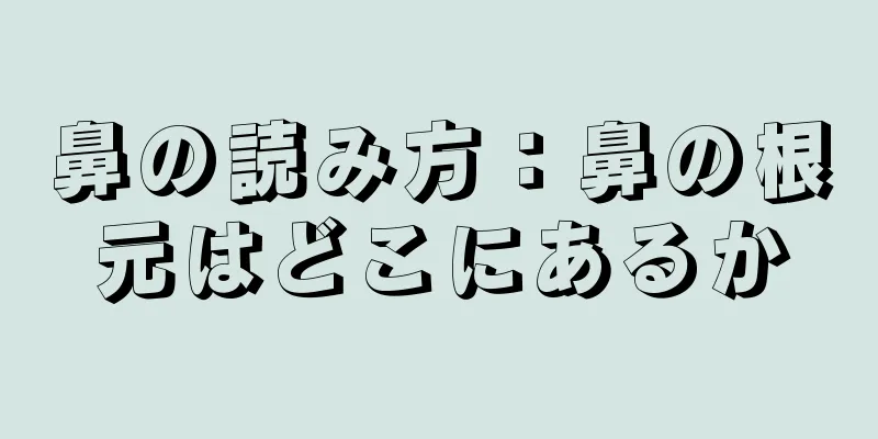 鼻の読み方：鼻の根元はどこにあるか