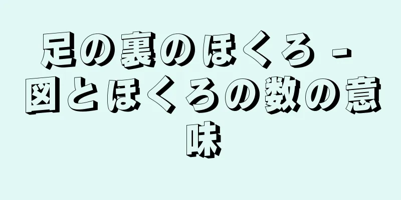 足の裏のほくろ - 図とほくろの数の意味