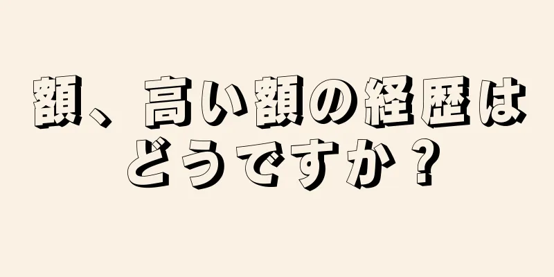 額、高い額の経歴はどうですか？