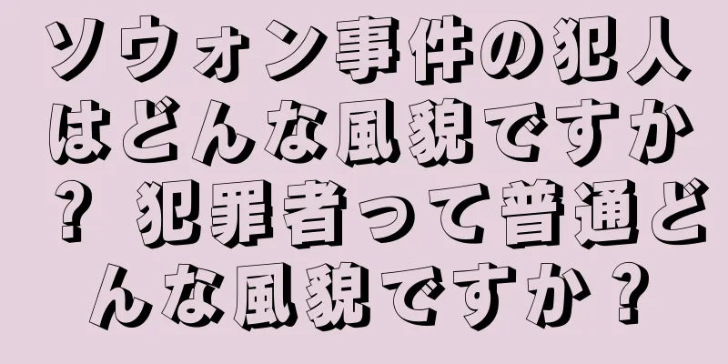 ソウォン事件の犯人はどんな風貌ですか？ 犯罪者って普通どんな風貌ですか？