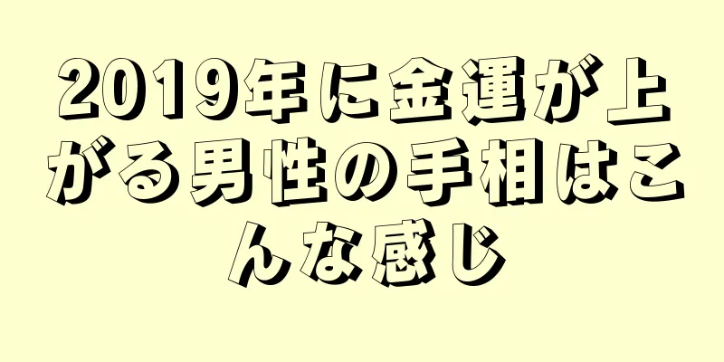 2019年に金運が上がる男性の手相はこんな感じ