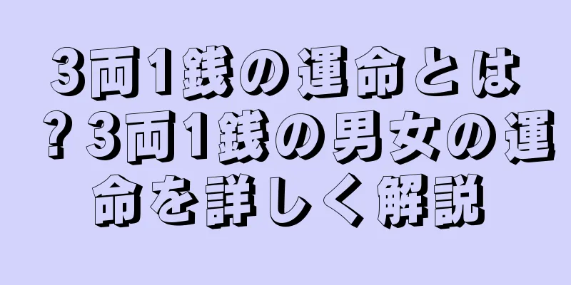 3両1銭の運命とは？3両1銭の男女の運命を詳しく解説