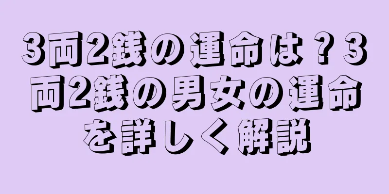 3両2銭の運命は？3両2銭の男女の運命を詳しく解説