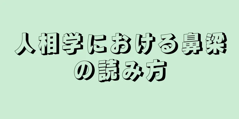 人相学における鼻梁の読み方