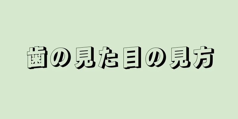 歯の見た目の見方