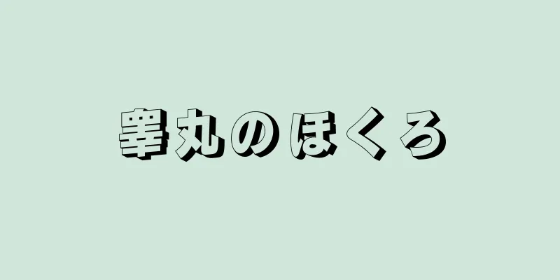 睾丸のほくろ