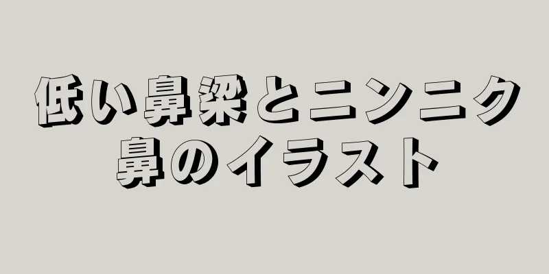 低い鼻梁とニンニク鼻のイラスト