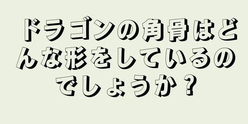 ドラゴンの角骨はどんな形をしているのでしょうか？