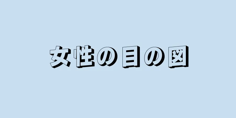 女性の目の図