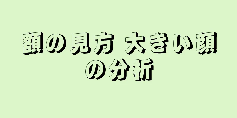 額の見方 大きい顔の分析