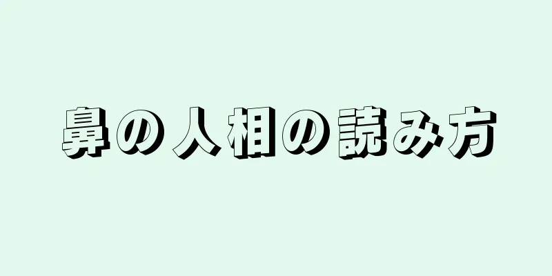 鼻の人相の読み方