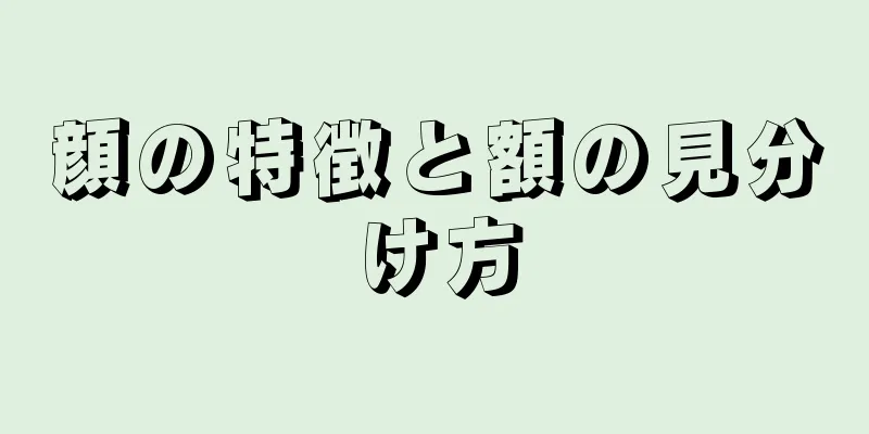 顔の特徴と額の見分け方