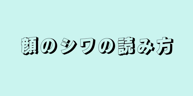 顔のシワの読み方