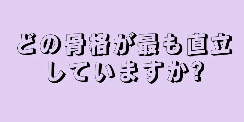 どの骨格が最も直立していますか?