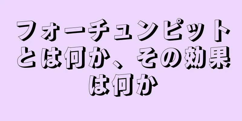 フォーチュンピットとは何か、その効果は何か